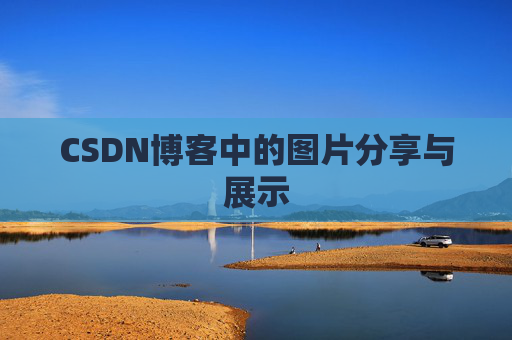 CSDN博客中的图片分享与展示